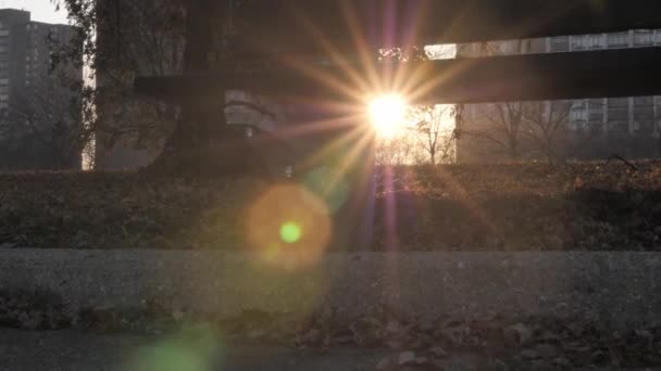 Close Slow Motion Vertical Panning Shot Park Bench Setting Sun — Stock Video