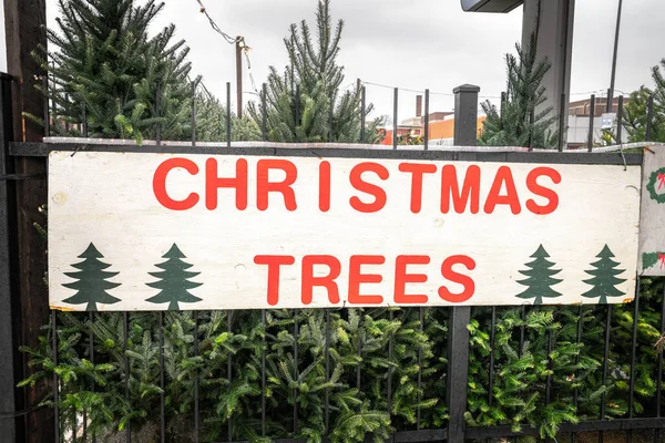 Ein Gemaltes Weißes Rotes Und Grünes Weihnachtsbaumverkaufsschild Hing Einem Zaun — Stockfoto