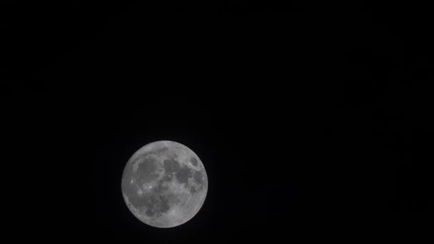 在漆黑的夜空中移动的一轮明亮的满月的近照 — 图库视频影像