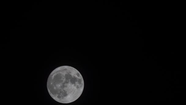 Time Lapse Close Full Bright Moon Moving Black Dark Night — Stock Video