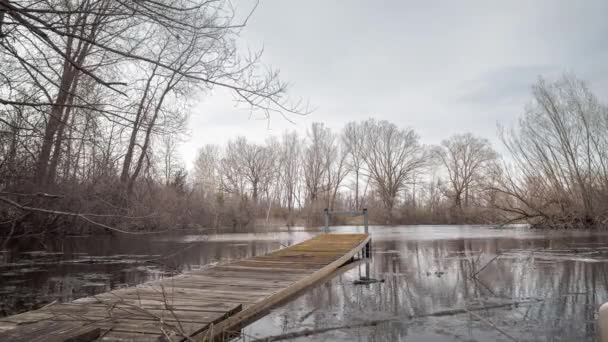 Timelapse Molo Legno Intemperie Uno Stagno Una Giornata Ventosa Come — Video Stock