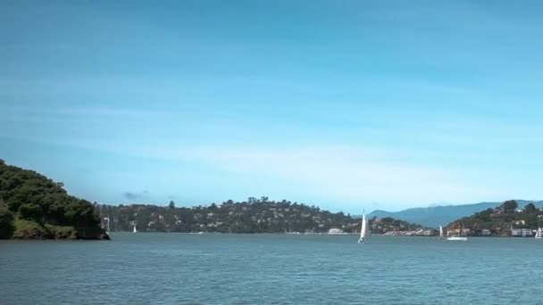 Zeilboten Passeren Het Blauwe Water Van San Francisco Bay Buurt — Stockvideo