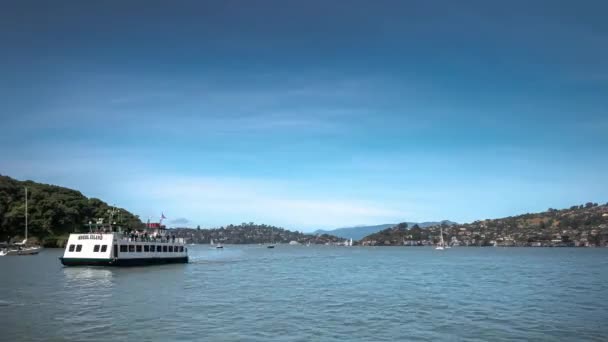 Barche Vela Passano Sull Acqua Blu Della Baia San Francisco — Video Stock