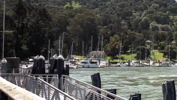 San Francisco Abril 2017 Ferry Angel Island Sai Seu Cais — Vídeo de Stock