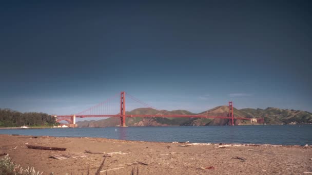 San Francisco April 2017 Mensen Lopen Langs Met Drijfhout Bezaaide — Stockvideo