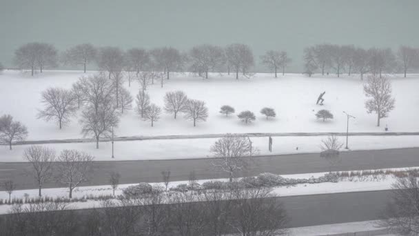 シカゴ 2017年12月25日 冬にミシガン湖近くのレイクショアドライブで交通動物園として空から雪が降る — ストック動画