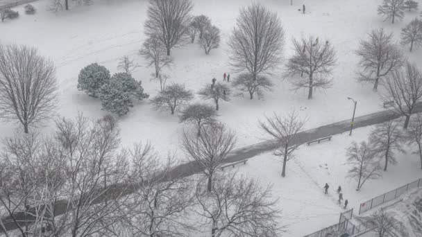 Chicago December 2017 Emberek Szaladgálnak Játszanak Hulló Egy Nyitott Parkban — Stock videók