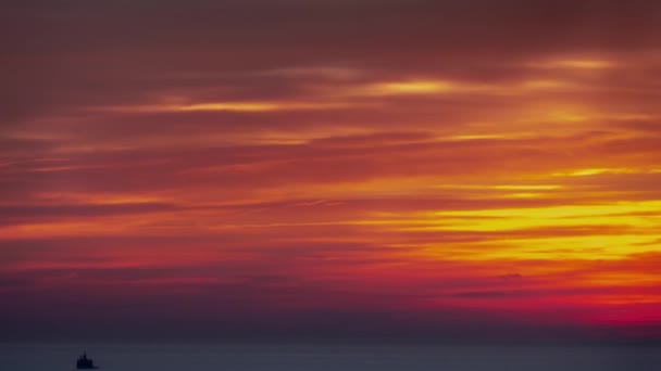 Panning Timelapse Aérea Belo Rosa Macio Penas Laranja Azul Amarelo — Vídeo de Stock