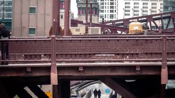 Chicago Noviembre 2018 Los Peatones Hacen Uso Del Paseo Orillas — Vídeo de stock