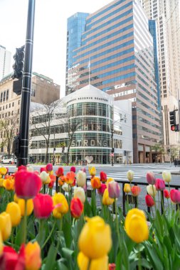 Chicago, IL - 12 Mayıs 2020: Yeni Starbucks Rezerv Roastery COVID-19 salgını sırasında kapalı ve boş bir şekilde duruyor..