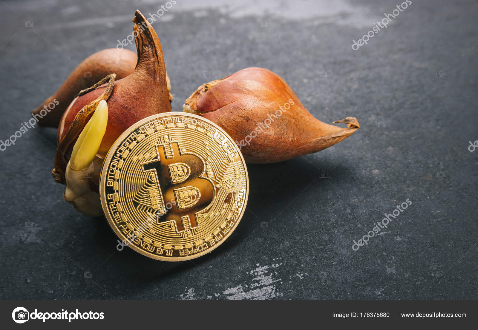 jj coin cryptocurrency
