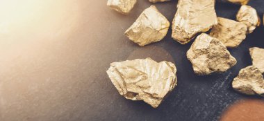 Altın nuggets ekonomi kavramı