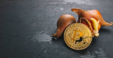 Bitcoin cryptocurrency para ile lale soğanı-Lale mania Pazar