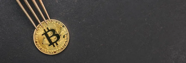 Golden Bitcoin (btc) oder Bitcoin Cash (bch) mit silberner Gabel auf schwarzem Hintergrund, Konzeptbild für eine Bitcoin-Festgabel. ideal für Webseiten und Zeitschriftenlayouts — Stockbild Bitcoin-Wechselgeld, goldene Kryptowährung, Banner-Größe — Stockfoto