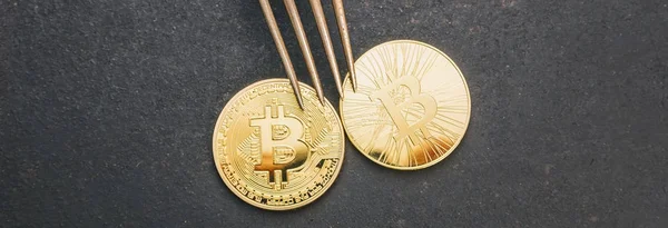 Golden Bitcoin (btc) und Bitcoin Cash (bch) unter einer silbernen Gabel, Konzeptbild für eine Bitcoin-Gabel. ideal für Webseiten und Zeitschriftenlayouts — Stockbild Bitcoin (btc) und bitcoin cash (bch) hard fork, digital crytocur — Stockfoto
