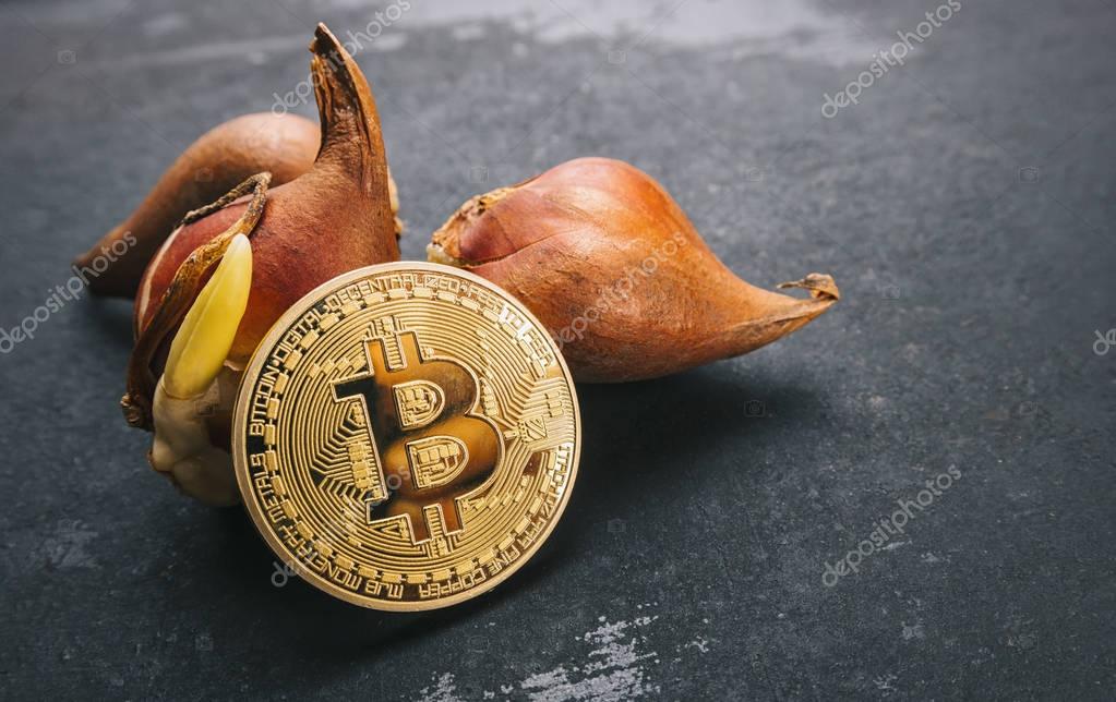 tulip bulb bubble bitcoin