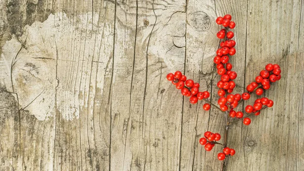 Ilex twig with red berrys on a wooden board - christmas decorati — Stock Photo, Image