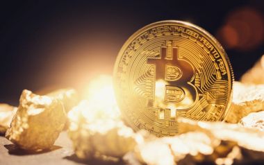 Dijital Altın Lale Bitcoin - bitcon kabarcık kavramı görüntü