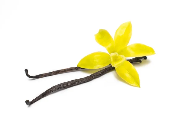 Originale fiore di vaniglia con bastoncini secchi — Foto Stock