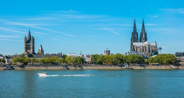 Cathédrale de Cologne et le Rhin en été — Photo