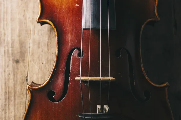 Vista ravvicinata di corde di violino e ponte — Foto Stock