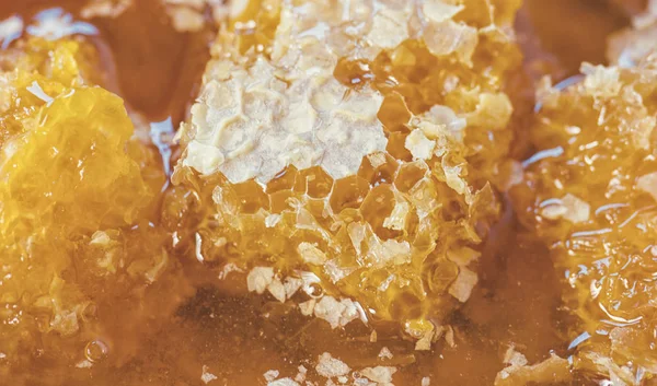 Honeycombs with fresh honey — Stock Photo, Image