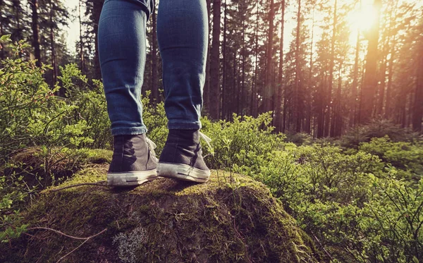 Hipster Girl Debout Sur Tronc Arbre Dans Forêt Explorer Image — Photo