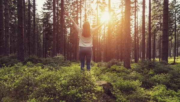 Mulher Feliz Levantou Mãos Pôr Sol Floresta Estilo Vida Conceito — Fotografia de Stock