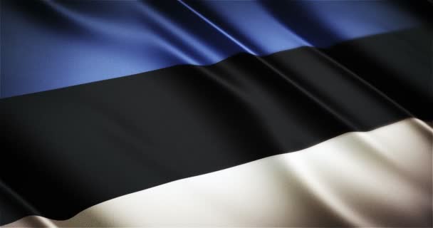Estonia Flaga narodowa realistyczne bezszwowe, Zapętlanie animacji macha — Wideo stockowe