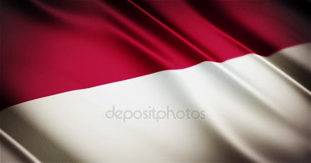 Indonesien & Monaco realistiska flagga sömlös looping viftande animation — Stockvideo