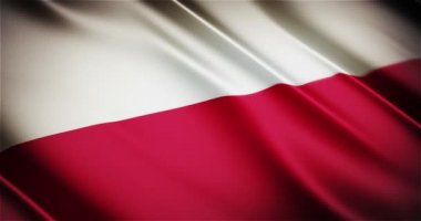 Polonya gerçekçi ulusal bayrak sallayarak animasyon döngü sorunsuz