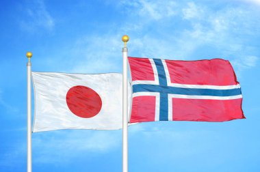 Japonya ve Norveç bayrak direkleri ve mavi bulutlu arka planda iki bayrak