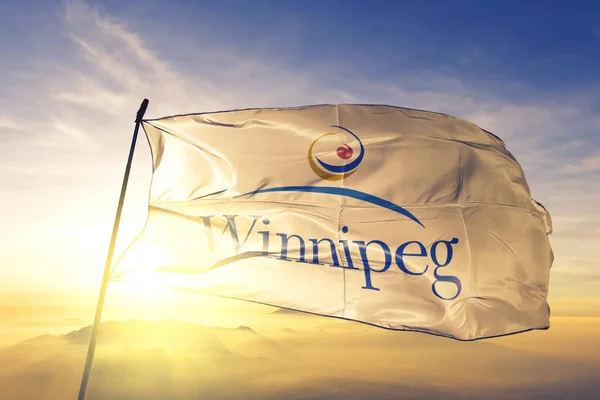 Winnipeg Manitoba Tela Textil Bandera Canadá Ondeando Niebla Niebla Salida — Foto de Stock