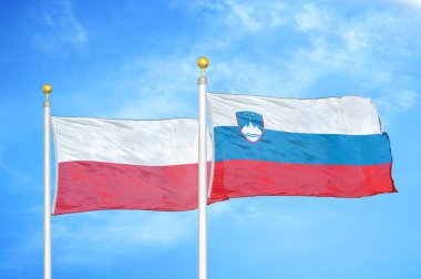 Polonya ve Slovenya bayrak direkleri ve mavi bulutlu arka planda iki bayrak