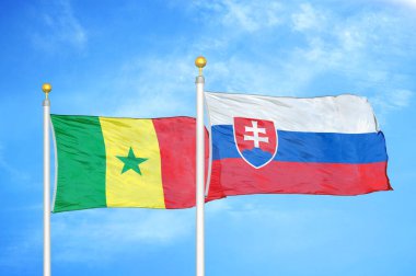 Senegal ve Slovakya bayrak direkleri ve mavi bulutlu arka planda iki bayrak