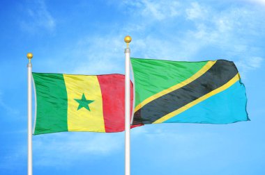 Senegal ve Tanzanya bayrak direkleri ve mavi bulutlu arka planda iki bayrak