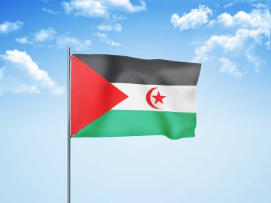 Batı Sahra bayrağı 3 boyutlu bulutlu gökyüzünde dalgalanıyor.