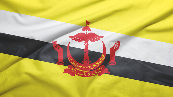 Brunei Darussalam waving flag on the fabric texture