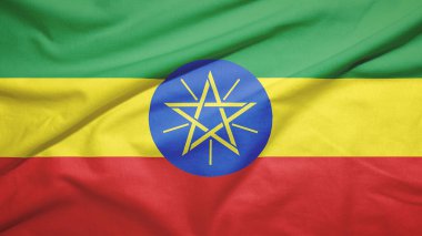 Etiyopya kumaş dokusunda bayrak sallıyor