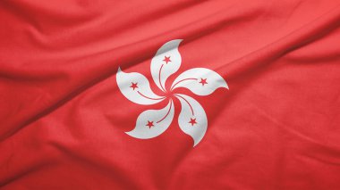 Kumaş dokusunda Hong Kong bayrağı sallıyor.