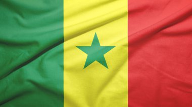 Kumaş dokusunda Senegal bayrağı sallıyor