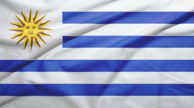 Kumaş dokusunda Uruguay bayrağı sallıyor