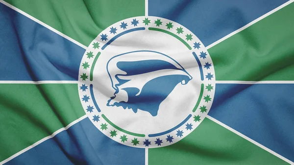 Martinik Vlajka Textuře Tkaniny — Stock fotografie