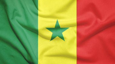 Kumaş dokusunda Senegal bayrağı
