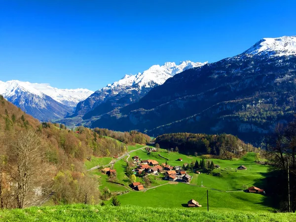 Bahar İsviçre. Kırsal kesimde Alpler.
