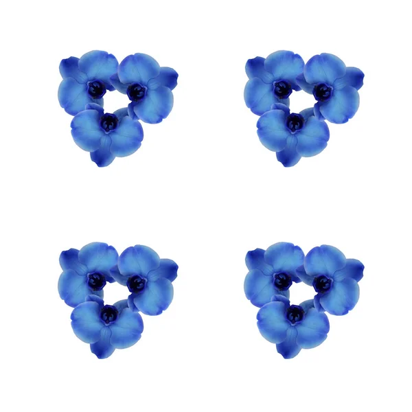 Beyaz üzerine tropikal orkide çiçek arka plan