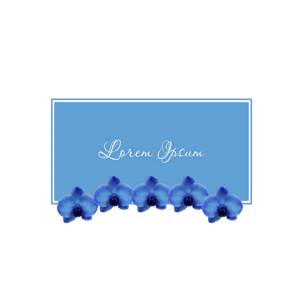 Mavi tropik orkideler arka plan