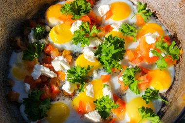 Yumurta dosyalanmış yumurta