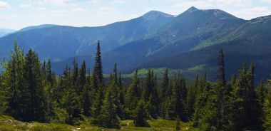 Ukrayna Karpatlar güzelliği