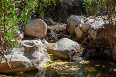 Kıbrıs dağları arasında bir kaynak